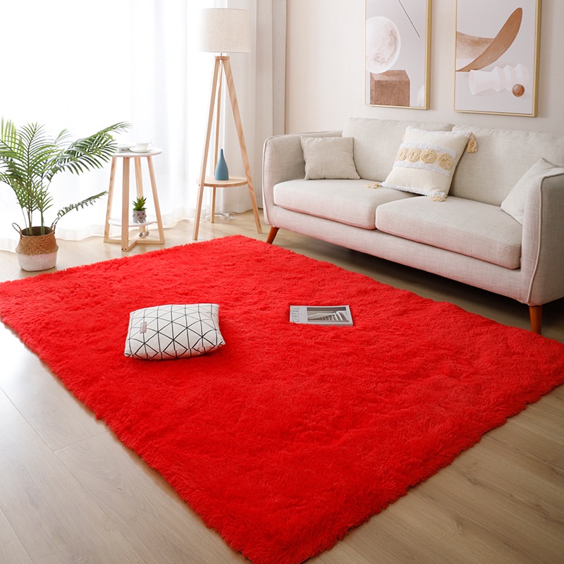 HOMEYOUNG Big Size Fluffy Rugs AntiSkid Shaggy Area Rug Room Home