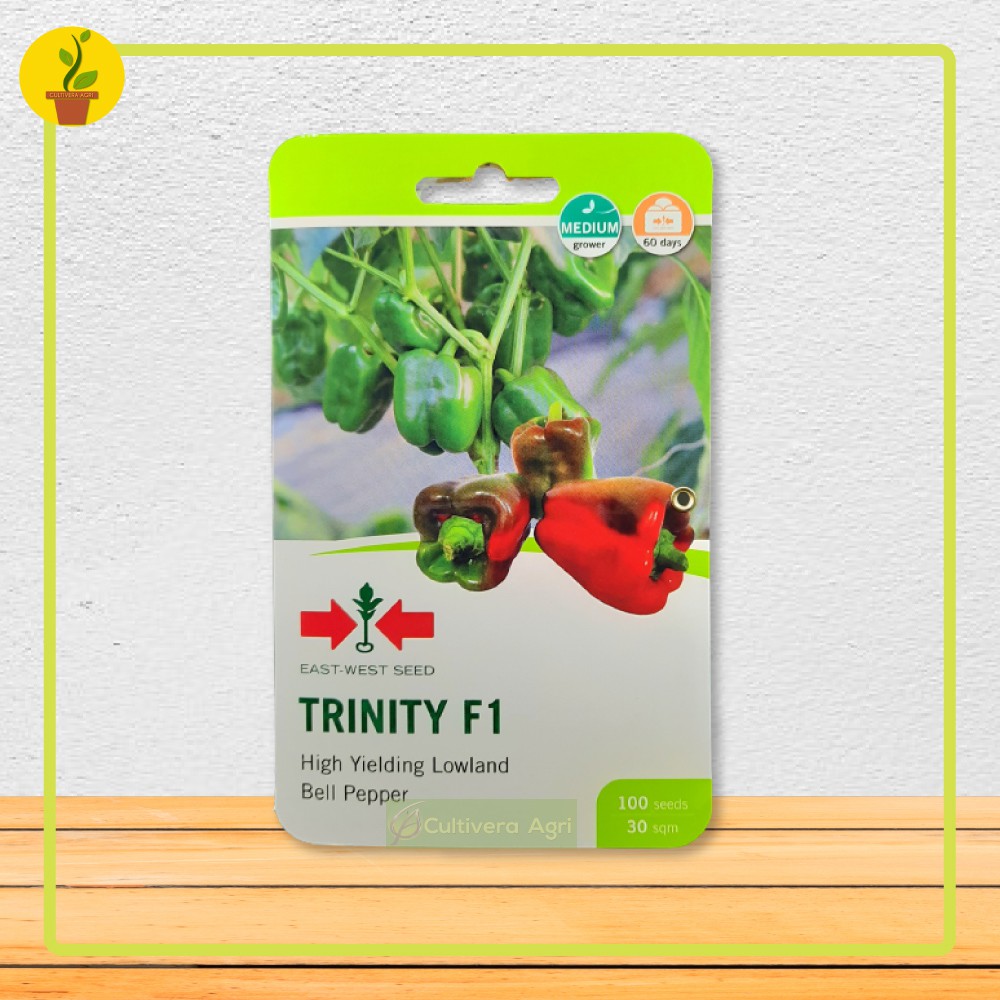 Sweet Bell Pepper (Trinity F1 Variety) [100 Seeds Packet] Eastwest By