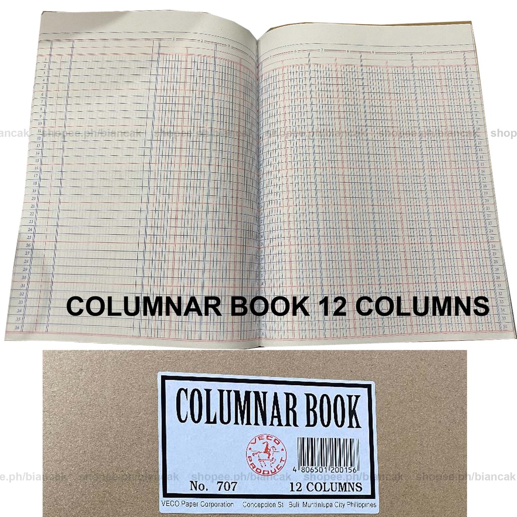 VECO VISION ACCOUNTING COLUMNAR JOURNAL LEDGER RECORD PURCHASE SALES