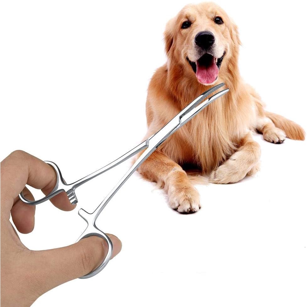Hemostat Forceps, Stainless Steel Pet Dog Grooming Ear Cleaning