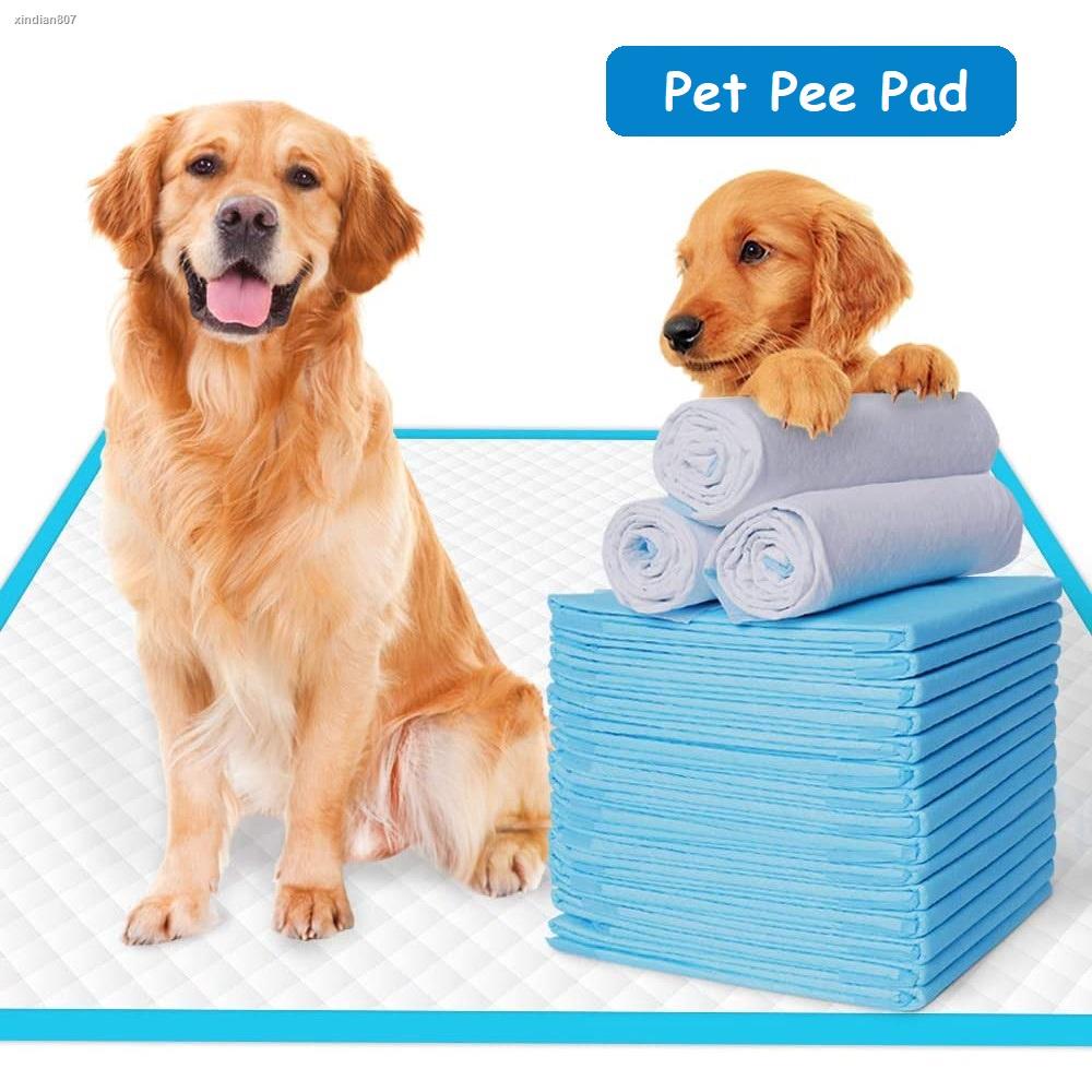 Dog Pee Pads Pack Pet Pad Potty Cat Training Wee Poop Shopee Philippines