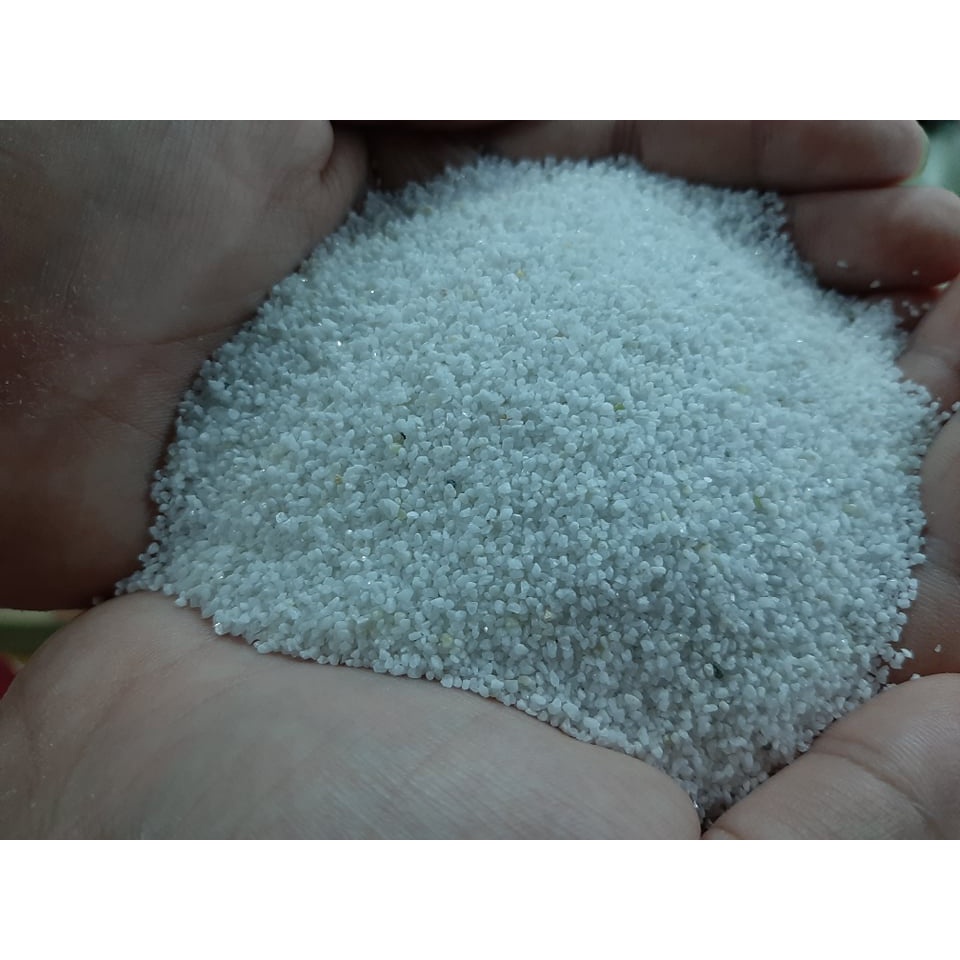 Silica and Ordinary White Sand For Aquarium Set Up / Terrarium 1 kilo