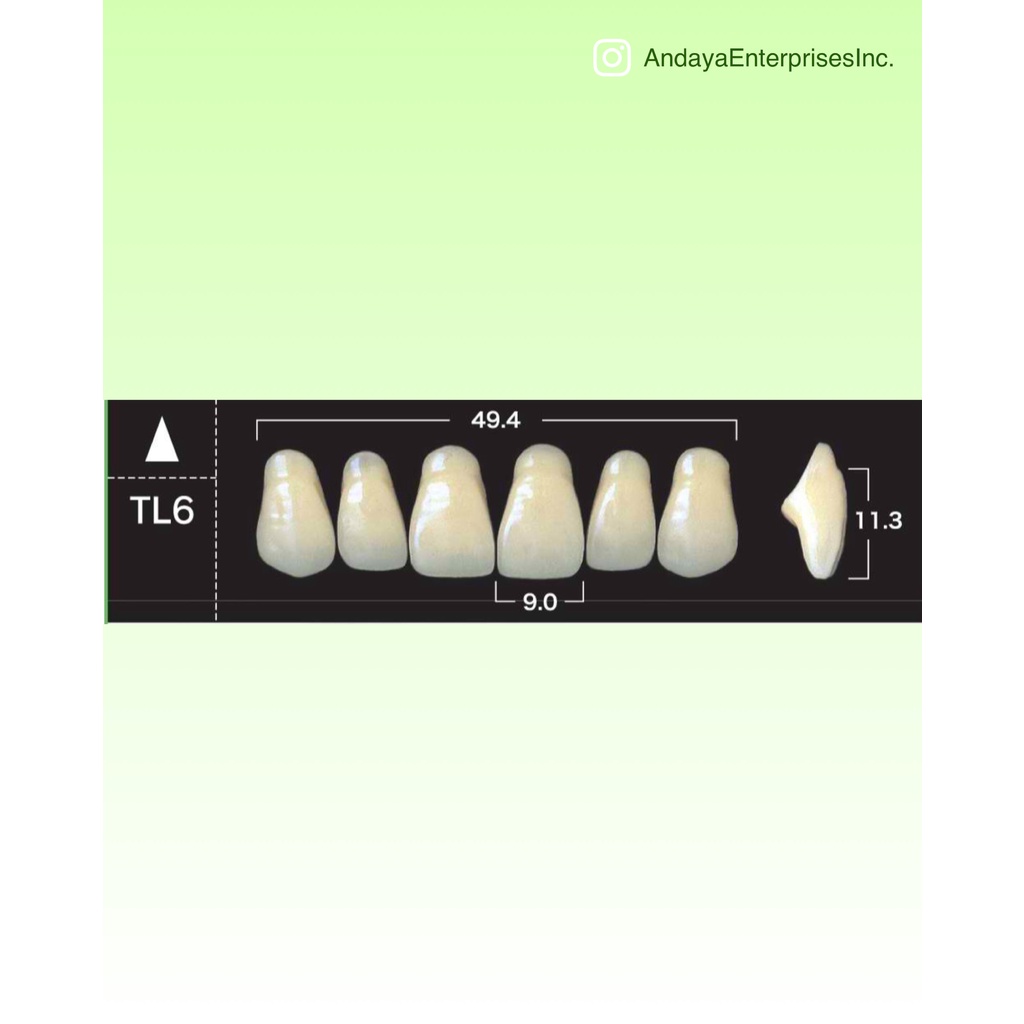 New Ace Anterior Acrylic Teeth Resin A1 ( TL6 ) x 2 Pieces Shopee