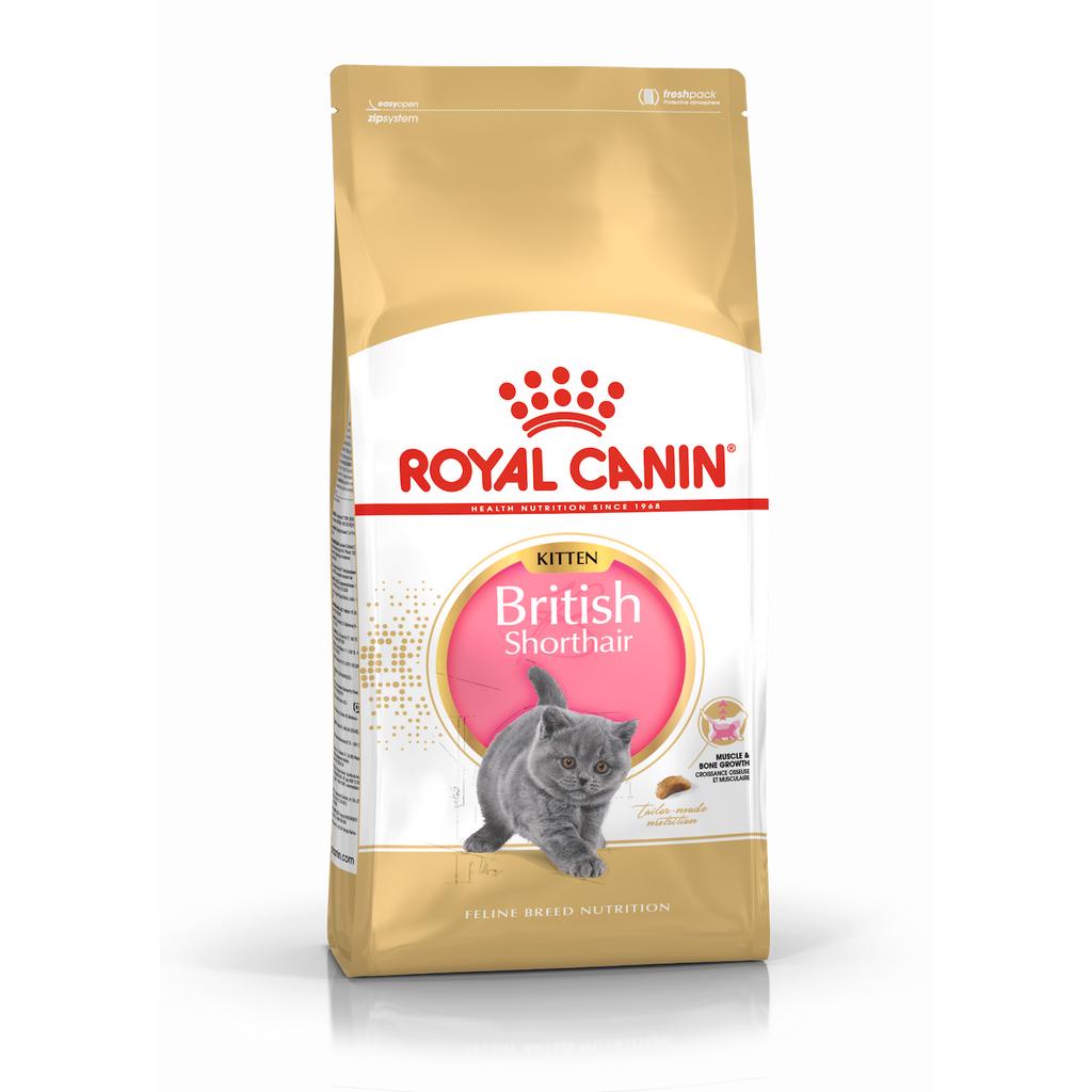 Royal Canin Dry Cat Food 500g/1.5kg, All Breeds & Sizes, Adult/Kitten