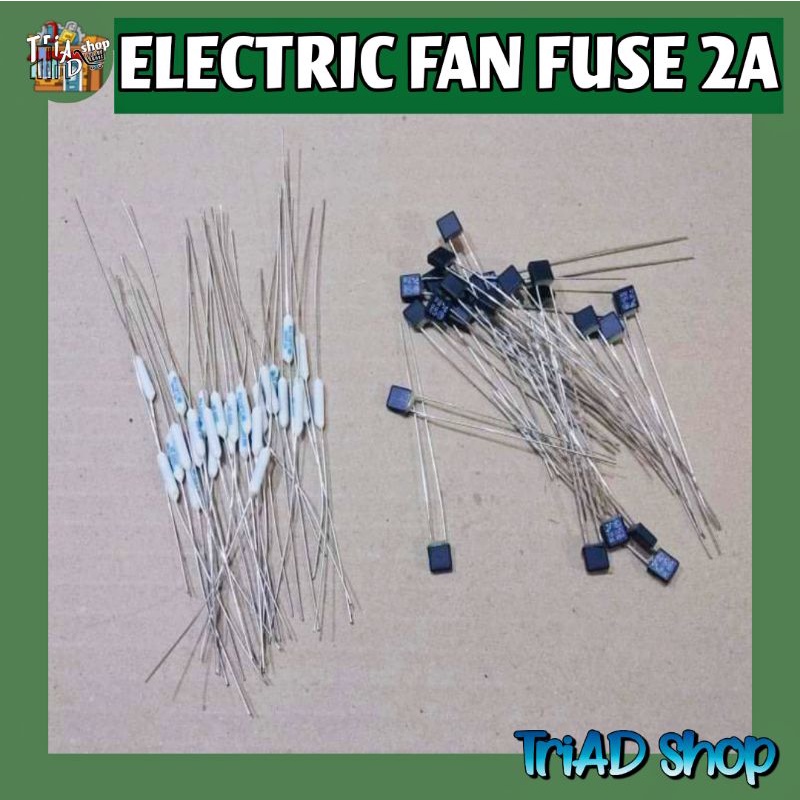 Electric Fan Fuse 2A Square & Oval Shopee Philippines