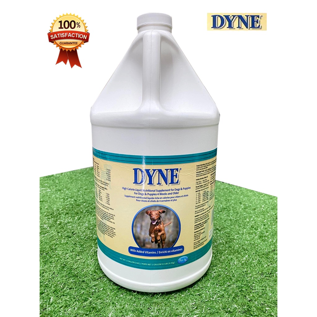 DYNE High Calorie Liquid Nutritional Supplement for Dogs & Puppies
