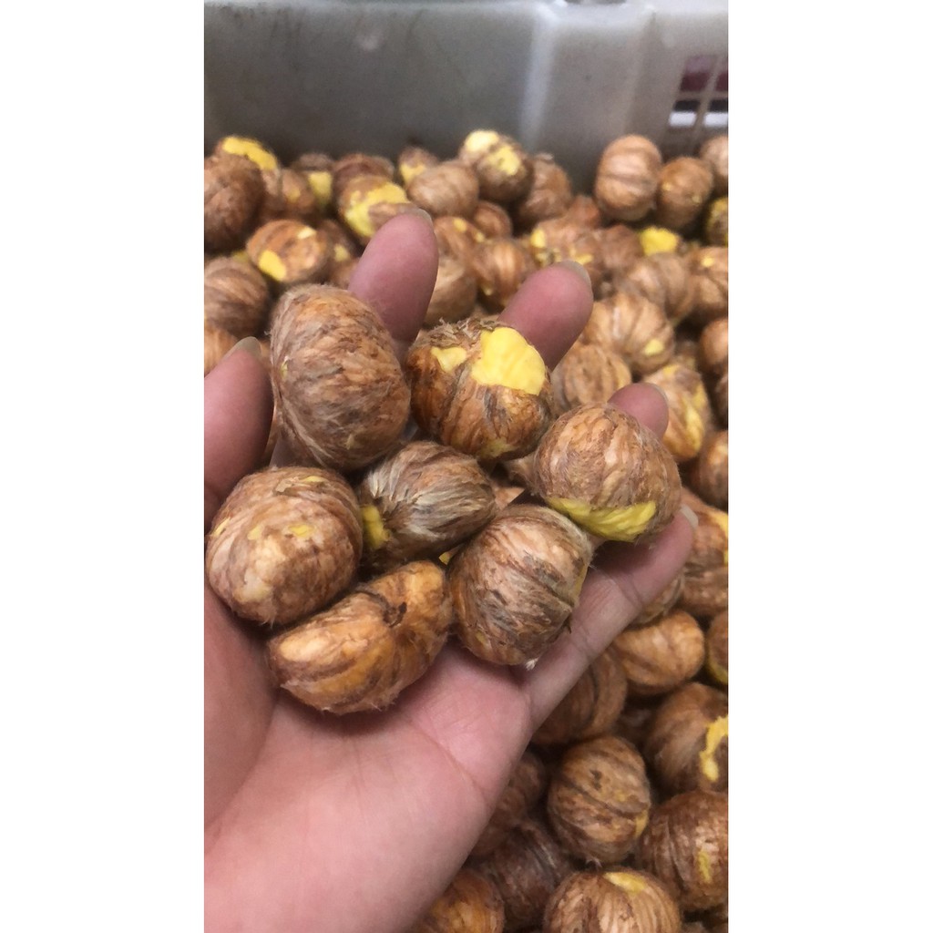 Japanese Chestnuts Peeled One How Many Lo (1kg) Raw Chestnuts. Shopee