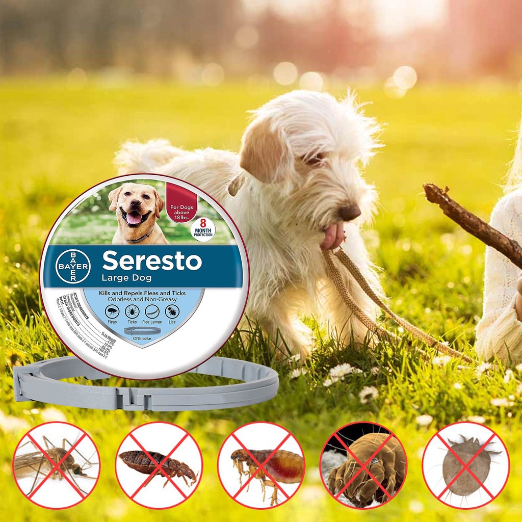 ＞Anti Flea Tick Collar For Dog Cat Dog Antiparasitic 8 Month Protect