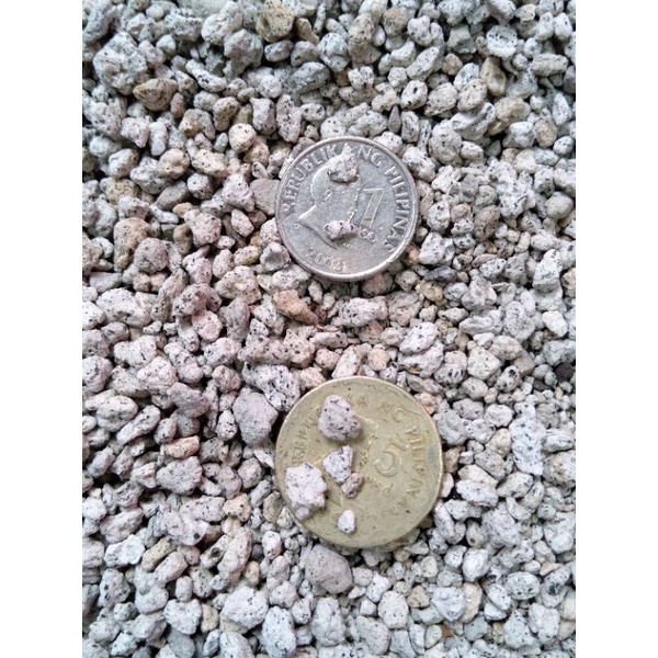 Pumice rocks (mixed sizes) Shopee Philippines