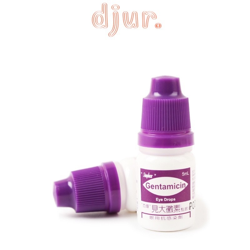 SINPHAR Gentamicin Eye Drops for Pets 5ml Shopee Philippines