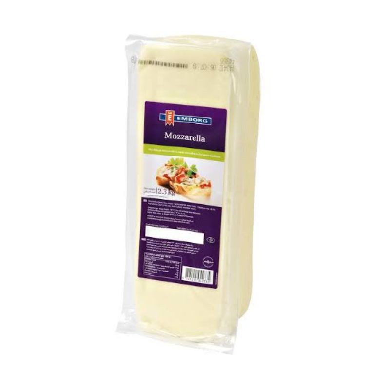 Mozzarella Cheese Block 2.3kg Shopee Philippines