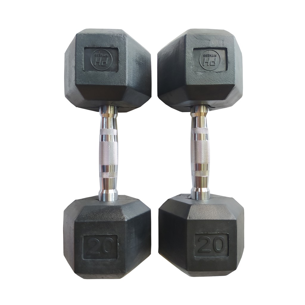 PlayHard Regular Hex Dumbbells 20 LBS (PAIR) Shopee Philippines