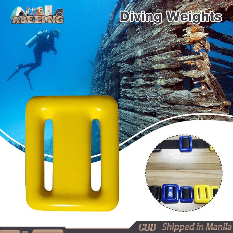 Diving Weights 1kg Freediving Scuba Weights Shopee Philippines