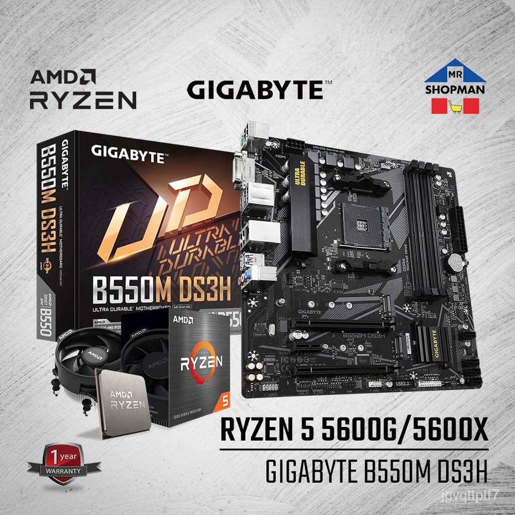 AMD Ryzen 5 5600 / 5600G / 5600X Processor w/ Gigabyte B550M DS3H Motherboard Bundle Shopee