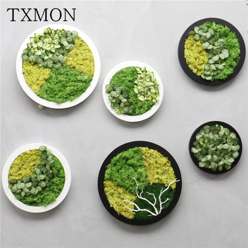 Artificial moss plant set Eternal flower modern home wallmounted