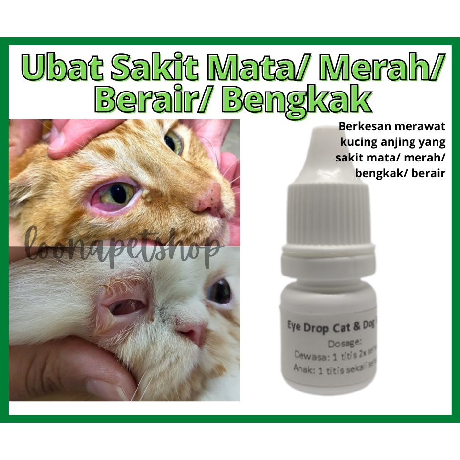 MERAH MATA Cat eye Medicine Cat eye Pain Medicine For Cats Swelling eye
