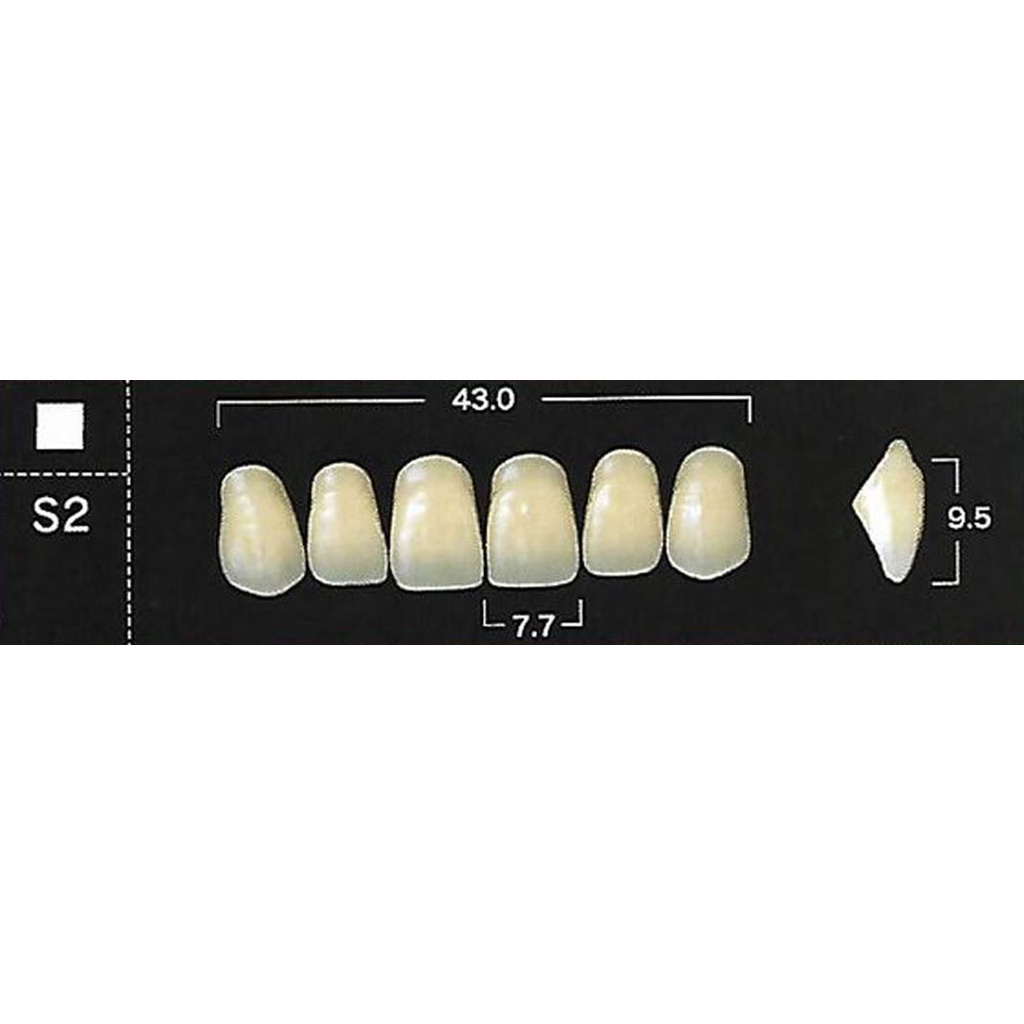 Yamahachi New Ace Acrylic Resin Teeth ( ANTERIOR UPPER ) Shopee