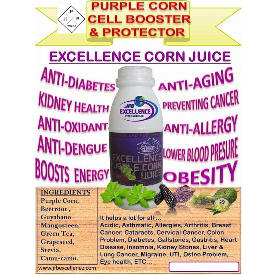 Excellence Purple Corn Juice Drink (Bottle) Shopee Philippines