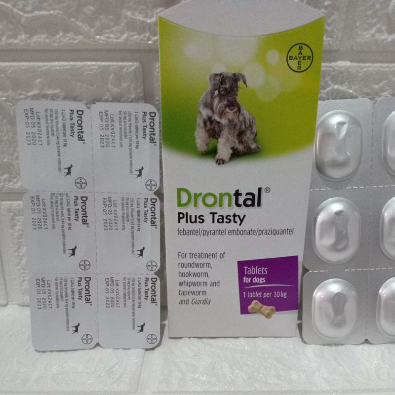 Drontal Plus Tasty Worm Medicine For Bayer Dogs Shopee Philippines