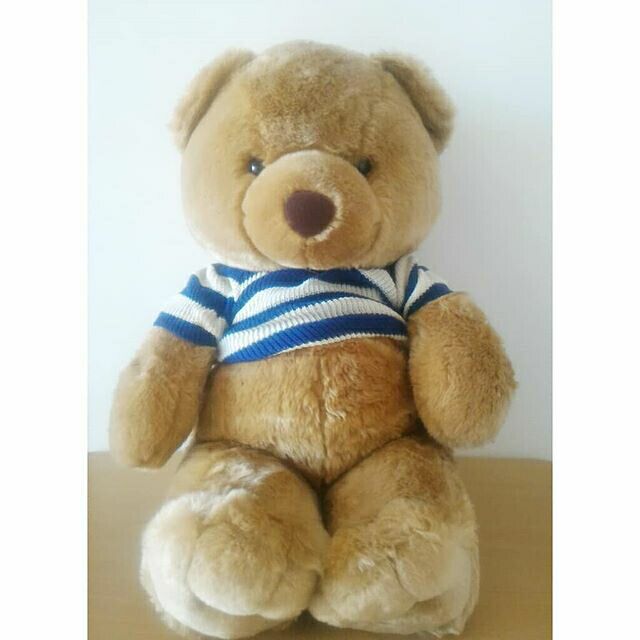 Bear Cuddler Big Teddy Bear Shopee Philippines