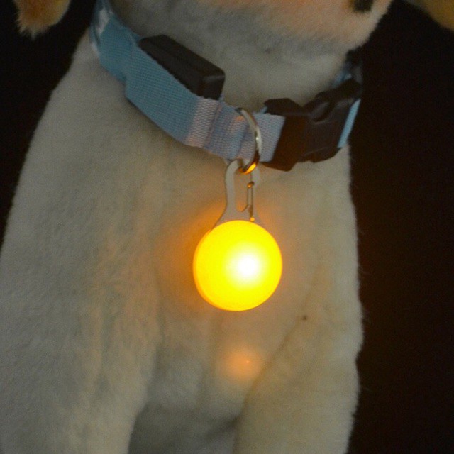PET & HOME LED clip on pet safety light for dog cat Shopee Philippines