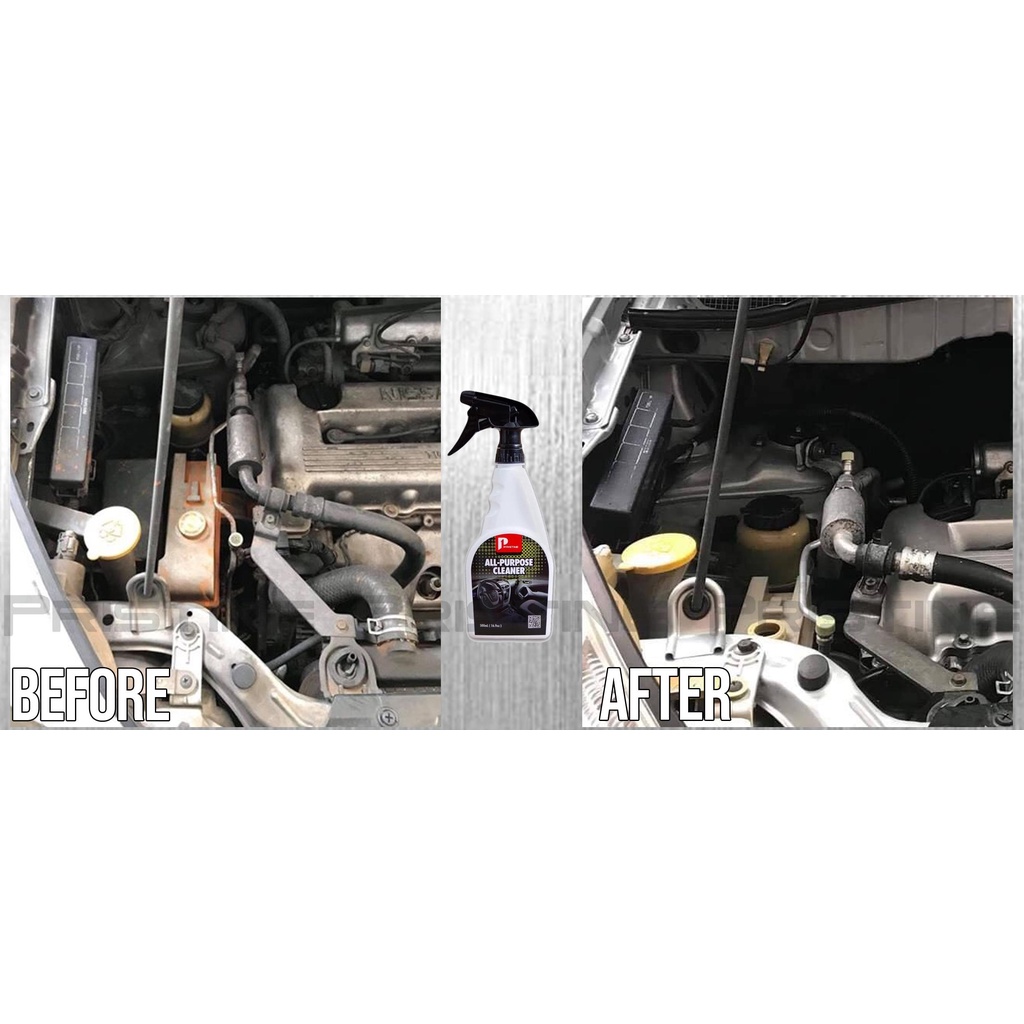 PRISTINE ALL PURPOSE CLEANER 250ml Shopee Philippines