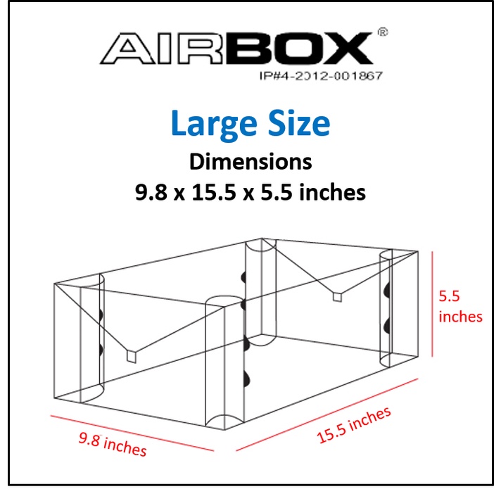 AIRBOX Shoe Box Storage Organizer Fully Transparent, Stackable, Easy