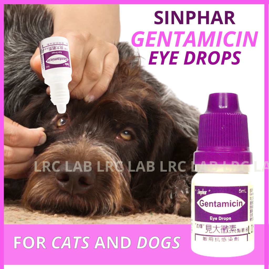 [LRC LAB] SINPHAR GENTAMICIN Eye Drops for Pet Prevent Irritation