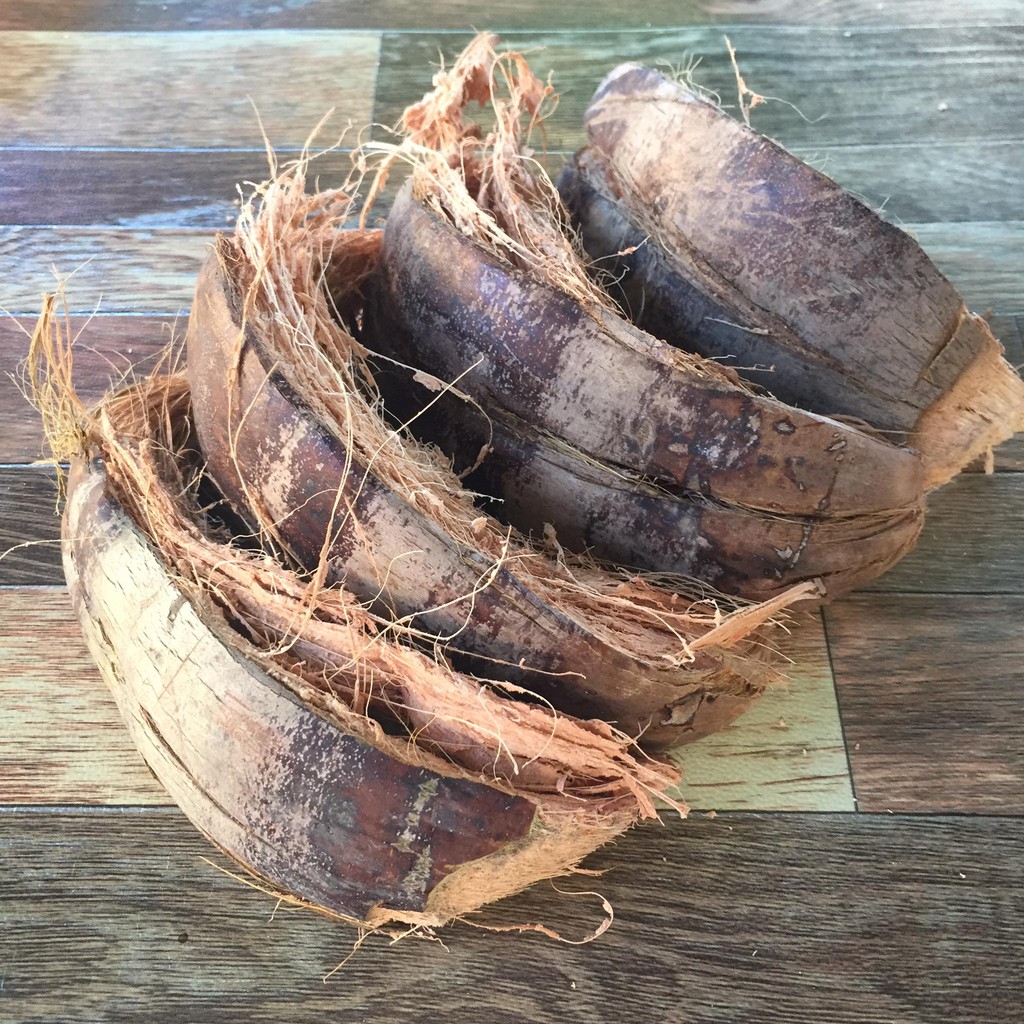 Coco Chips/Coco Chops/Coconut Husk for Orchids Shopee Philippines