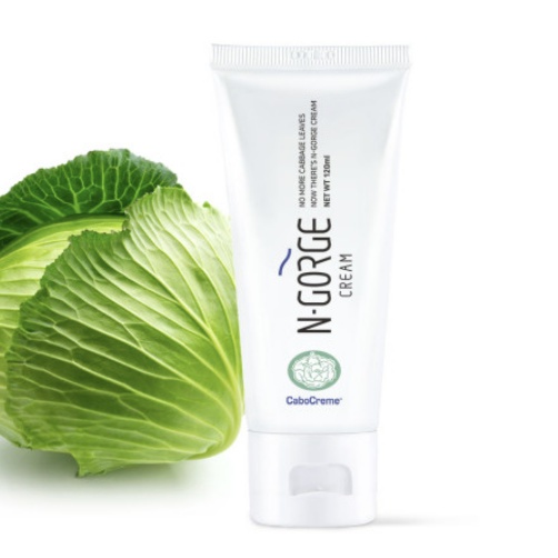 [BIG SIZE] cream 120ml Breast Cream Breast