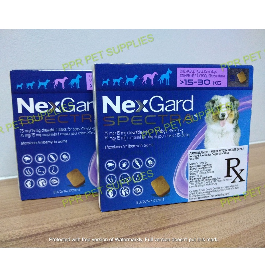 NEXGARD SPECTRA ANTI FLEAS AND TICKS FOR DOGS 15 TO 30 KG Shopee Philippines