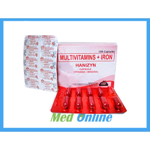 HANIZYN (MULTIVITAMIN + IRON) Shopee Philippines