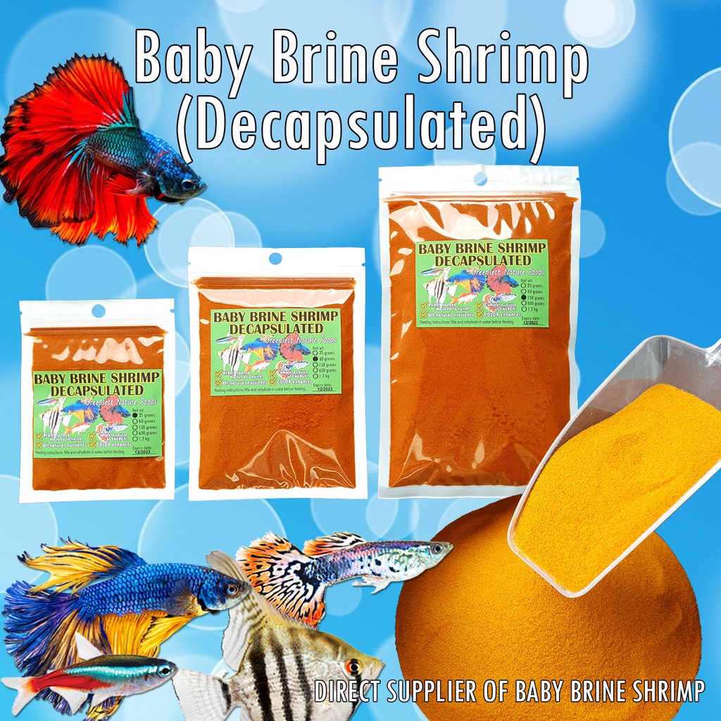 BABY BRINE SHRIMP (DIRECT SUPPLIER) Decapsulated 25150g fish food for
