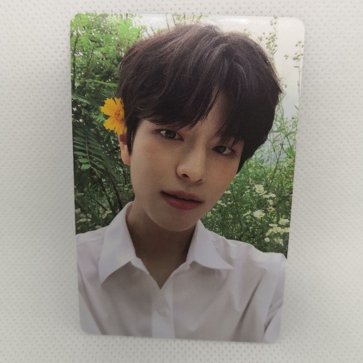 Seungmin Stray Kids NOEASY Photocards Frame Photo Mini Photobook