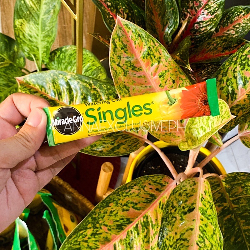 🇺🇸MiracleGro Watering Can Singles All Purpose Water Soluble Plant Food