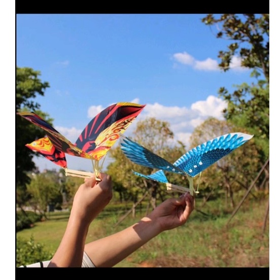 Big Finished Bird Rubber Band Power Bird Luban Big Bird Toy Shopee