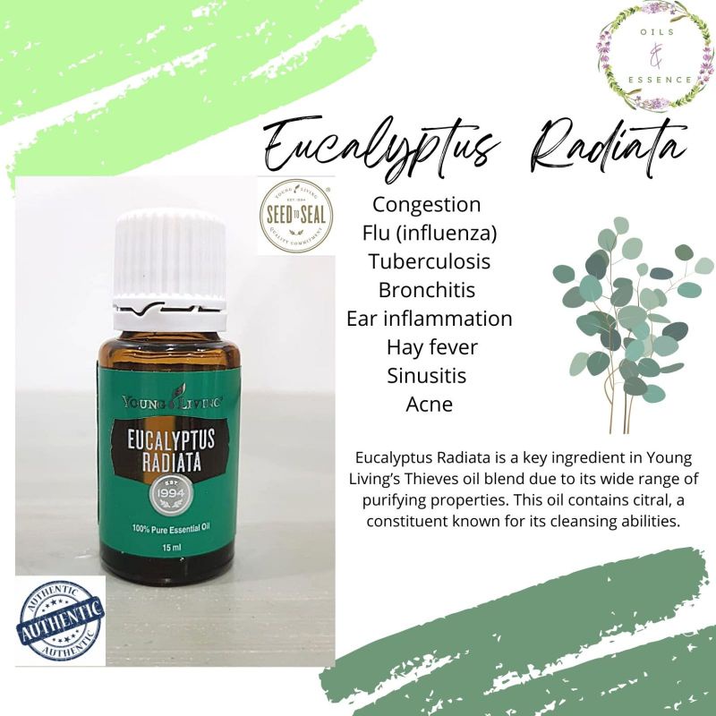 Eucalyptus Radiata Essential Oil (YL) Shopee Philippines