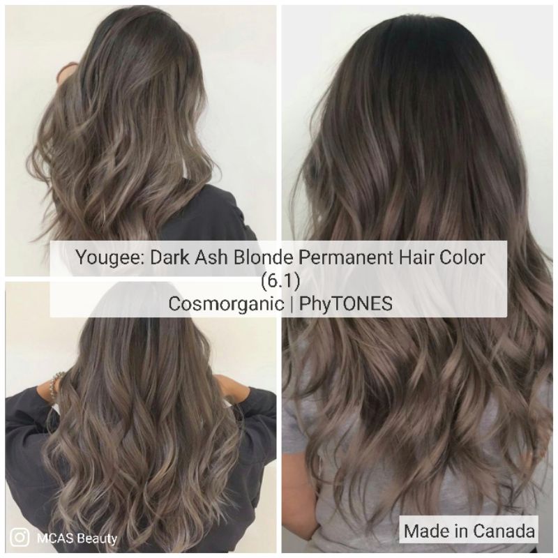 Yougee Dark Ash Blonde Permanent Hair Color (6.1) PhyTONES Shopee Philippines