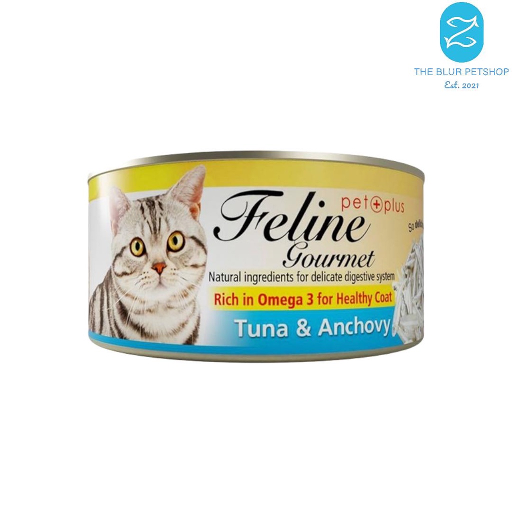 Feline Gourmet 80g All Stages Adult Kitten Cats Pet Wet Food Cat Can
