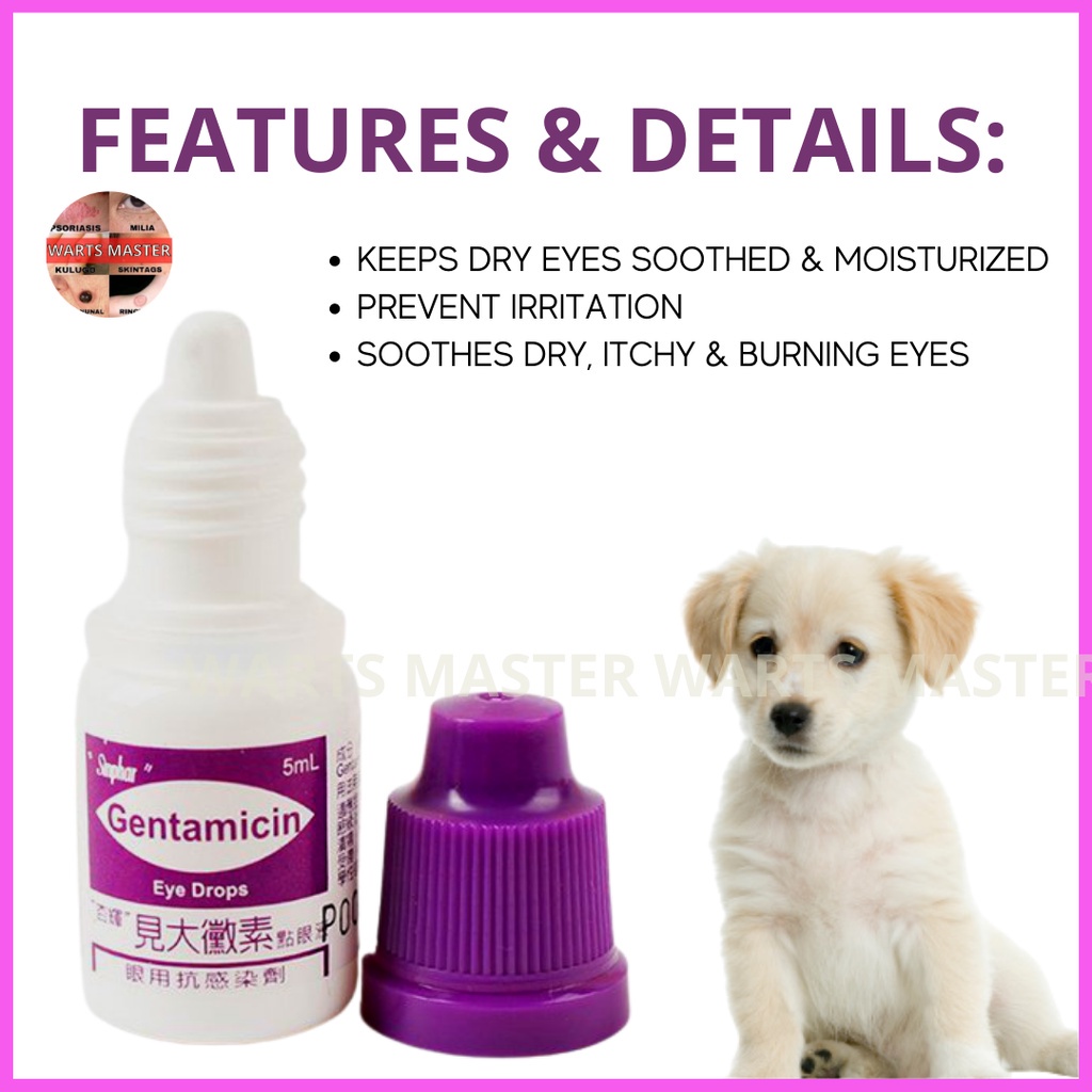 Bagong listahan ng produkto [WARTS MASTER] SINPHAR GENTAMICIN Eye Drops