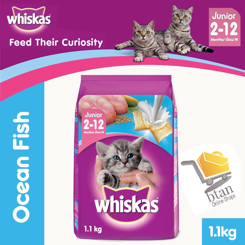 WHISKAS Cat Food Dry Kitten Ocean Fish Flavour With Milk 1.1 Kg 1 Bag