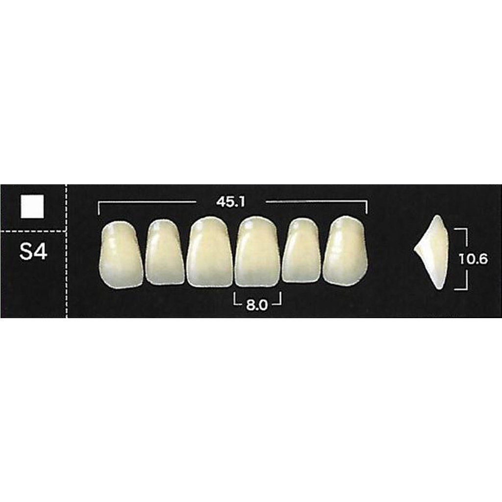 Yamahachi New Ace Acrylic Resin Teeth ( ANTERIOR UPPER ) Shopee