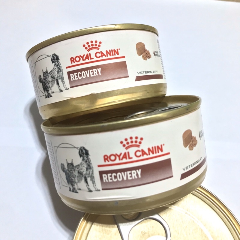 Royal Canin Recovery Food Veterinary Shopee Philippines
