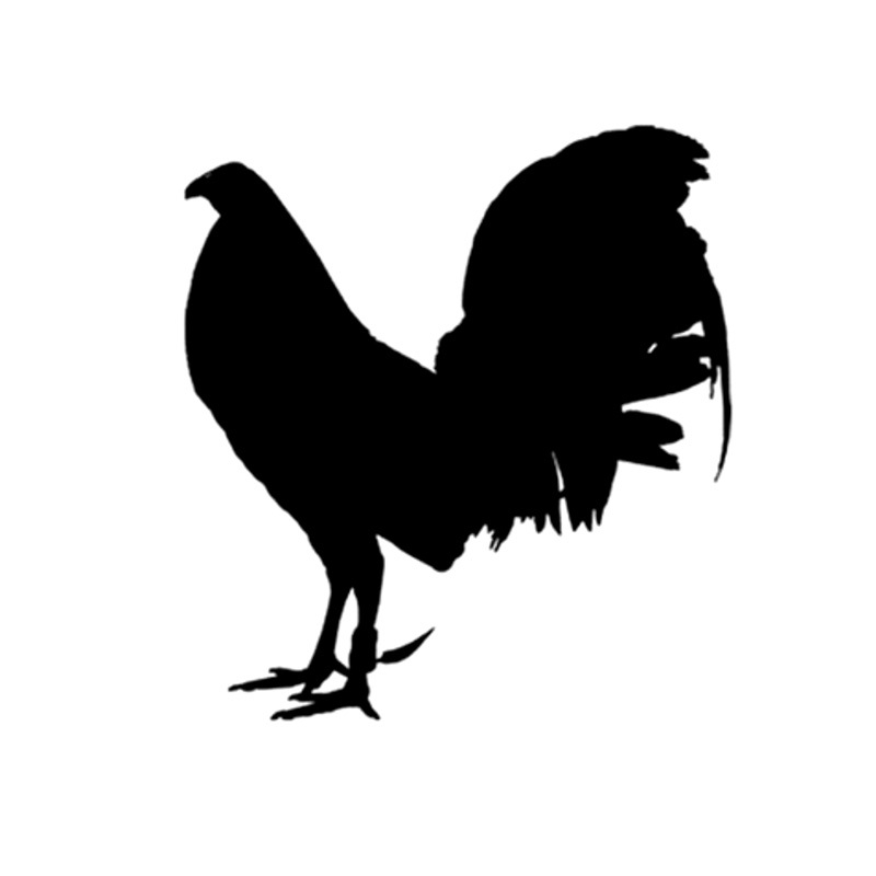 13.2CM*14.5CM Funny Animal Gamefowl Rooster Vinyl Car Sticker Decor