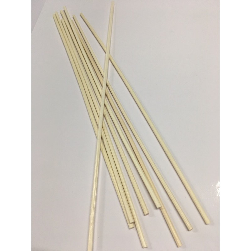 10pcs Rattan Reed Sticks Shopee Philippines