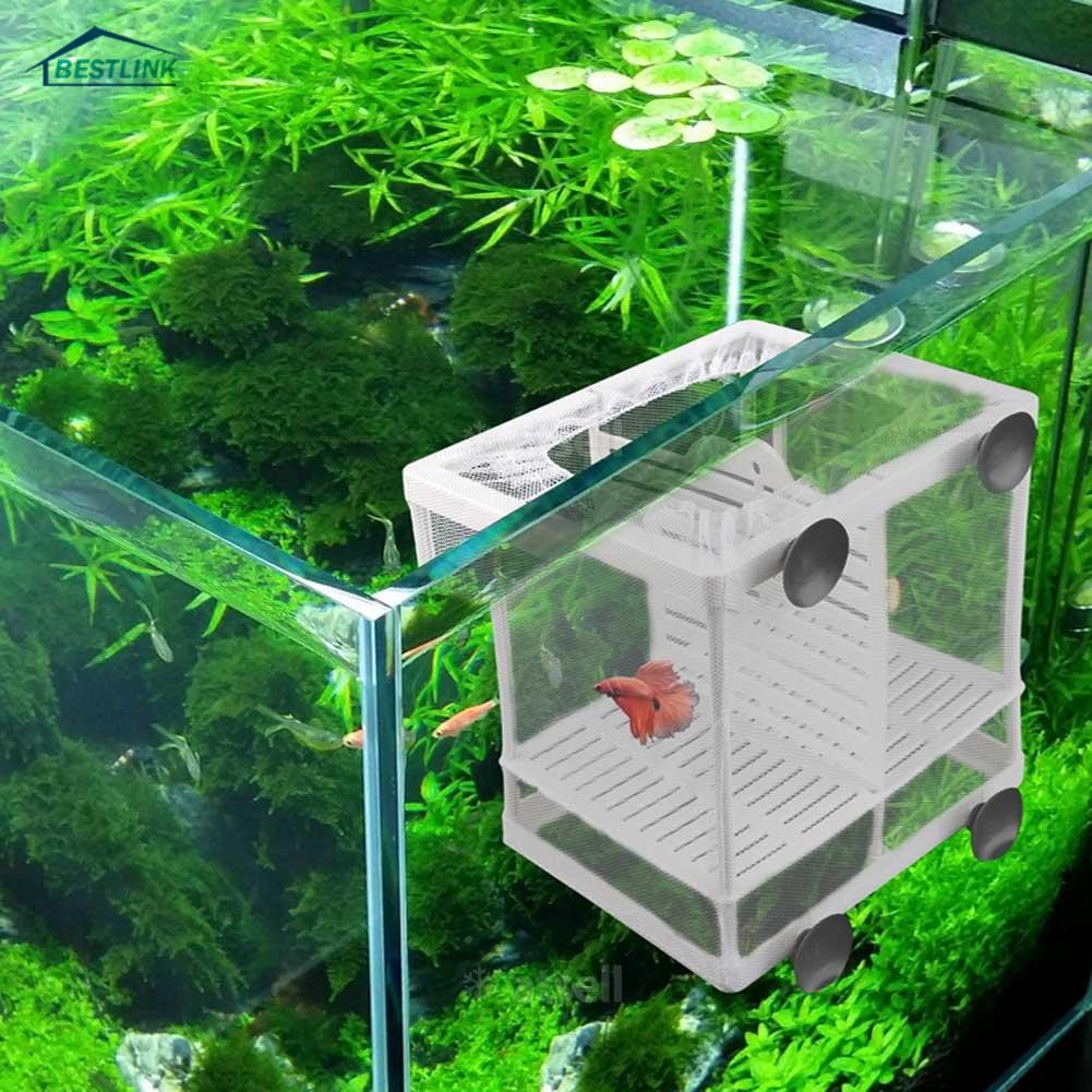 BL Aquarium Fish Breeding Breeder Box Baby Fish Hatchery Isolation Net
