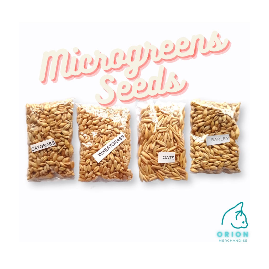 Cat Grass Seeds For Pets ( Catgrass, Barley,Oats,Wheatgrass)/ COD/ High