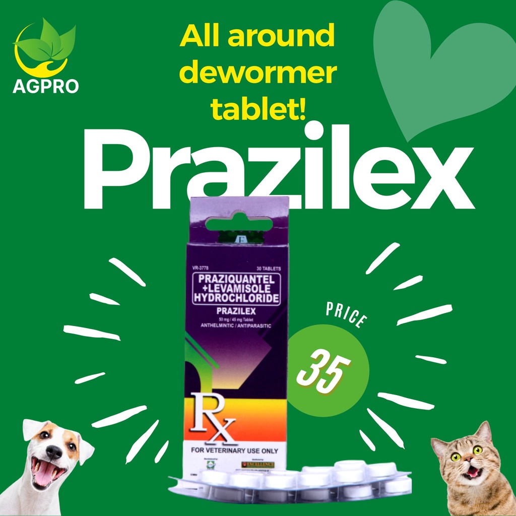 Prazilex All Around Dewormer for Dogs and Cats 1 Tablet (with sticker