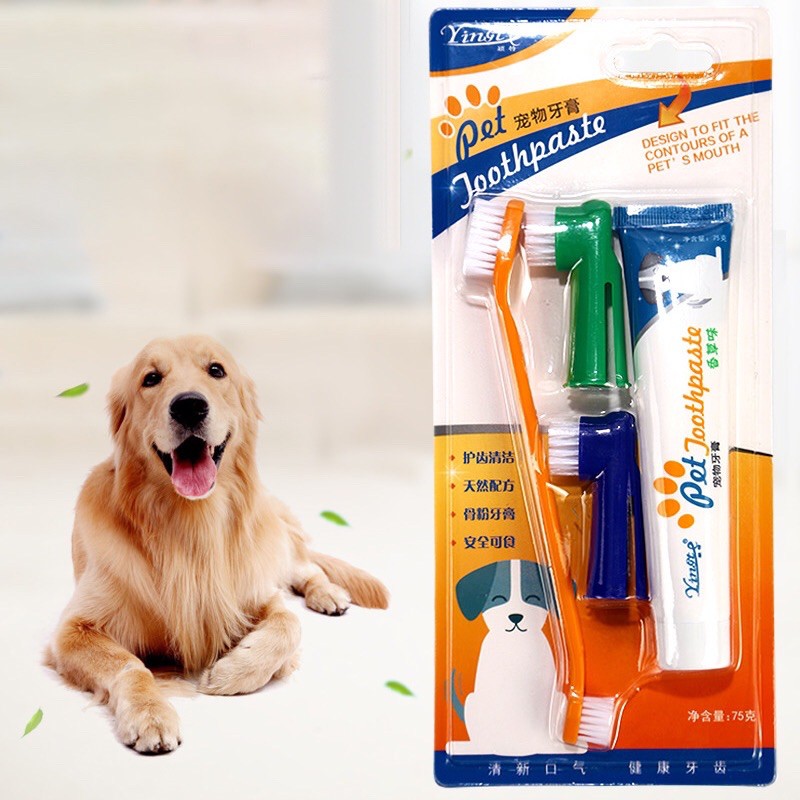Dogs toothpaste and toothbrush set with finger brush Shopee Philippines