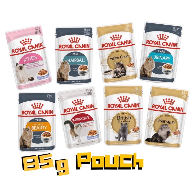 Royal Canin Cat Wet Food 85g Pouch Kitten, Intense Beauty, Instinctive